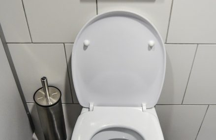 Quelques points à connaître sur le mécanisme de chasse d’eau