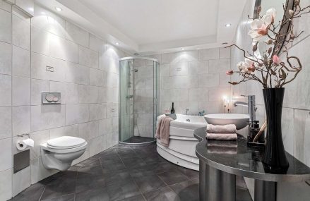 Comment choisir le bon type de toilettes pour votre maison ?